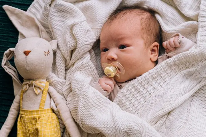 Adorable newborn baby with pacifier, wrapped in a cozy blanket beside a cute stuffed toy rabbit.