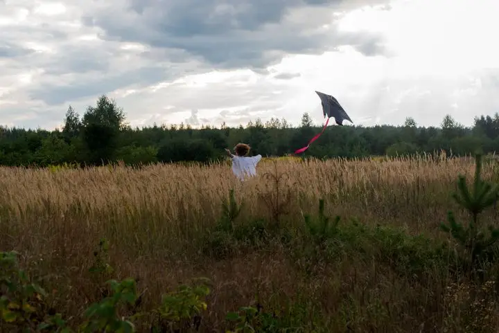 A child joyfully runs in a grassy meadow flying a kite under a cloudy sky, capturing a moment of playful freedom.